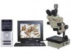 實體圖像顯微鏡或數(shù)碼攝影實體顯微鏡，配置了高清晰度的圖像傳感攝像機 (或數(shù)碼相機)，可以將顯微成像由計算機進行處理、編輯、保存和輸出 (如打印等)或進入多媒體系統(tǒng)及電子信箱。
